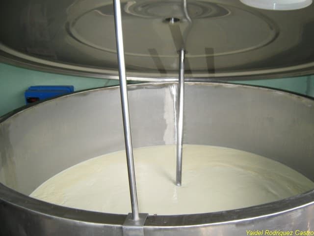 jobabo producción leche